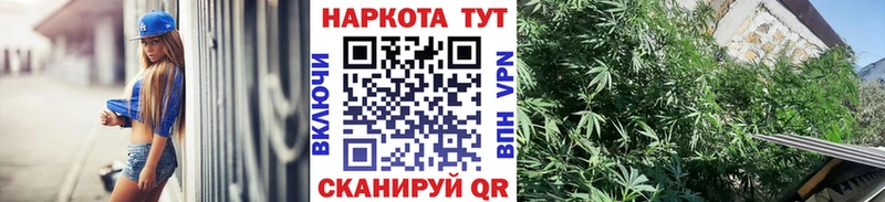 Где купить Дно Каннабис КОКАИН ГАШИШ