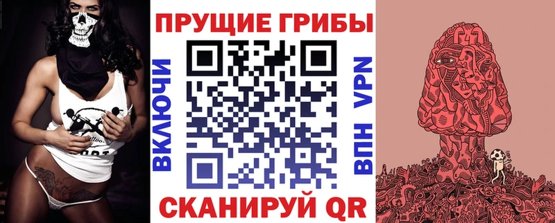 Галлюциногенные грибы GOLDEN TEACHER  OMG ссылка  Дно 