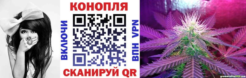 Каннабис ГИДРОПОН  Дно 